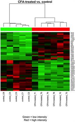 Transcriptional Alterations in the Trigeminal Ganglia, Nucleus and Peripheral Blood Mononuclear Cells in a Rat Orofacial Pain Model